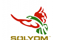 Լķsolyomչ˾LOGO