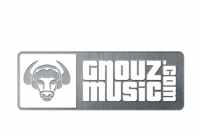 Gnouz音乐网站logo标志设计