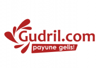 Gudril网站logo设计