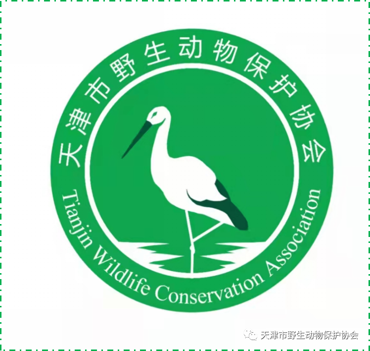 天津市野生动物保护协会LOGO初评作品“新鲜出炉”，诚邀投票