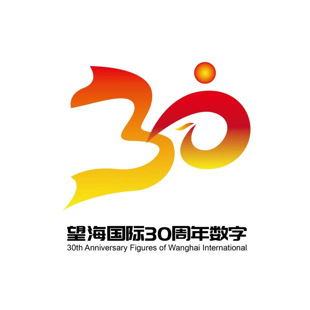 望海国际30周年数字Logo征集投票