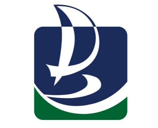 ͶʴݡLOGOѡʾ