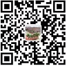 金培教育集团征集十周年庆典logo设计 金培教育集团征集十周年庆典logo设计.4图片