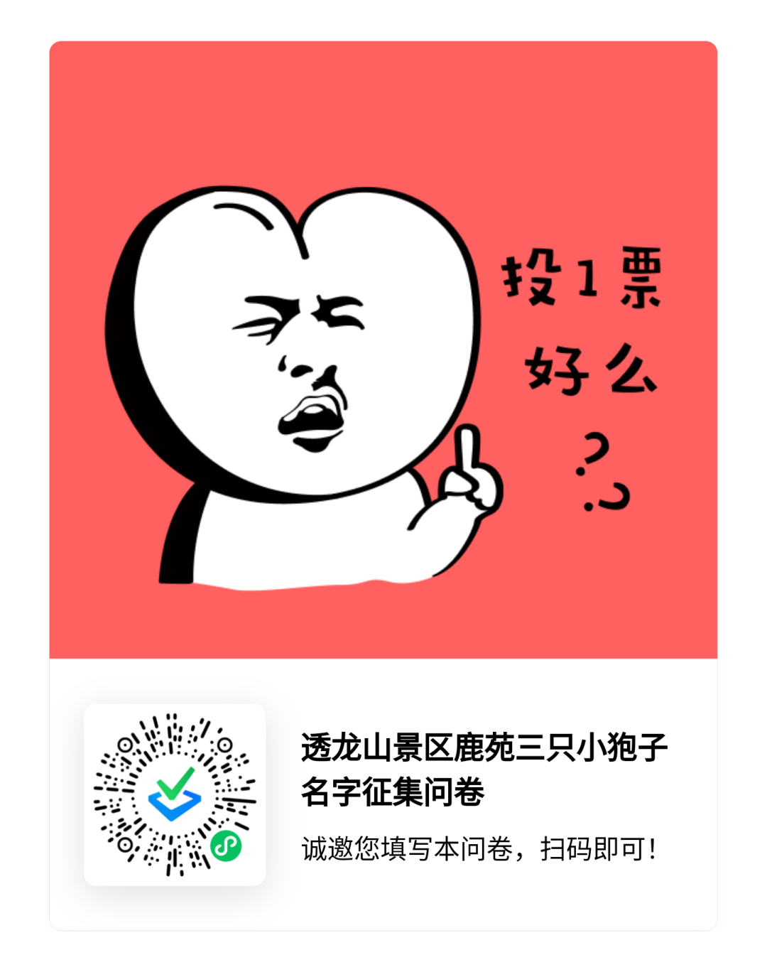 透龙山三小只征名 透龙山三小只征名.0图片