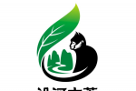 ڡغӹŲ衱logo͹ƷĹʾ