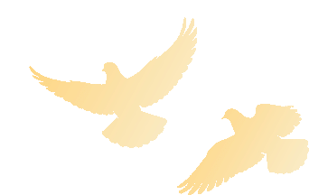 ����ó��ũҵ��ѧ���ڿ�LOGO��Ʒ�������.0ͼƬ