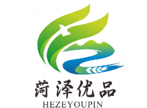 ���ڡ�������Ʒ��LOGO����������������ѡ����Ĺ�ʾ